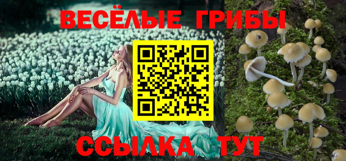 Галлюциногенные грибы Cubensis  Вход с VPN  Артёмовский 